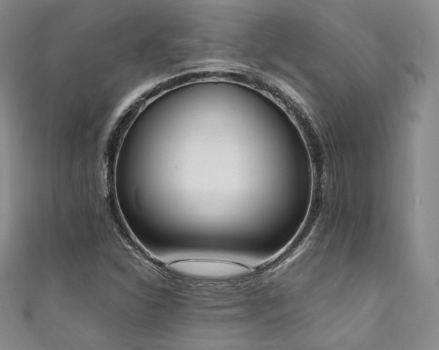 X0000111141310200906301222