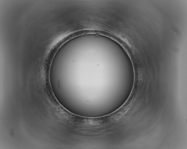 X0000111141311200906301222