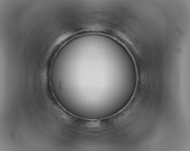 X0000111141315200906301222
