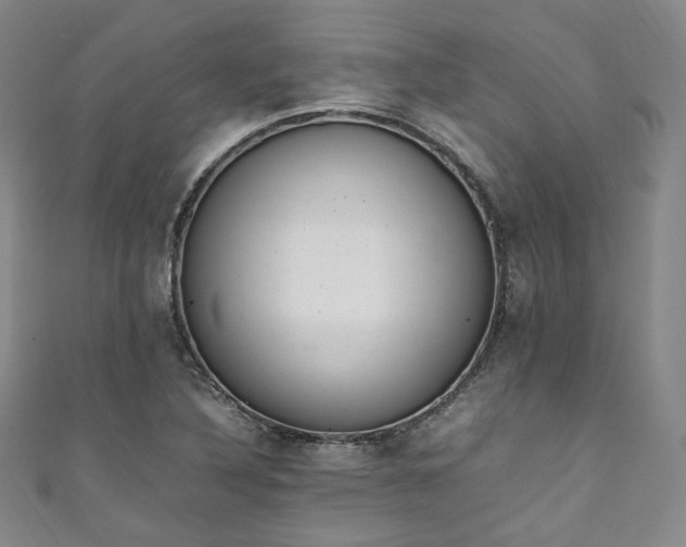 X0000111141316200906301222