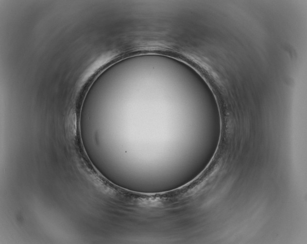 X0000111141317200906301222
