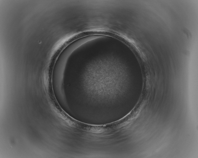 X0000111141319200906301222