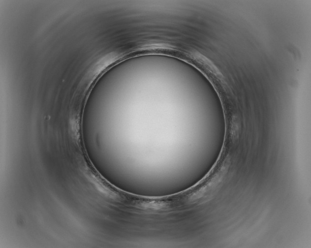 X0000111141321200906301222