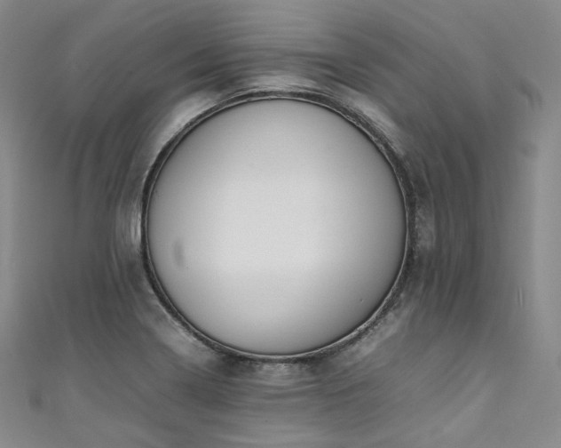 X0000111141322200906301222