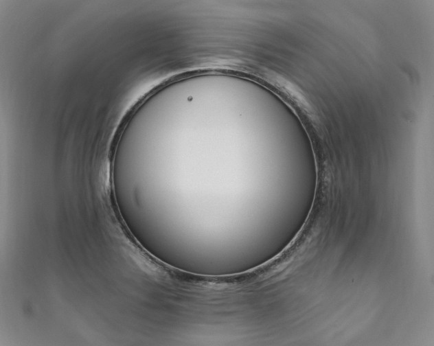 X0000111141324200906301222