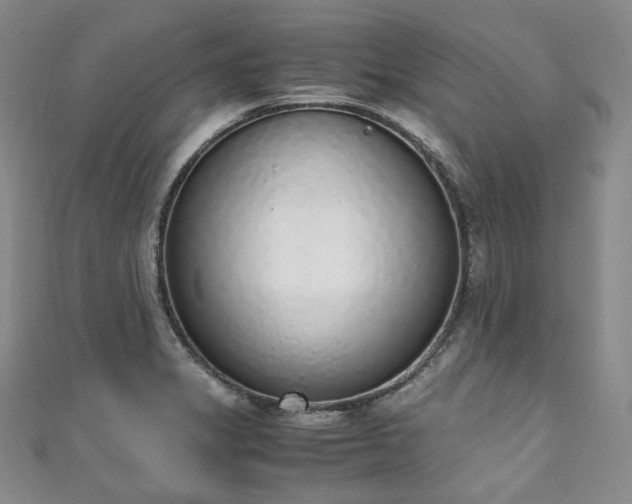 X0000111141325200906301222