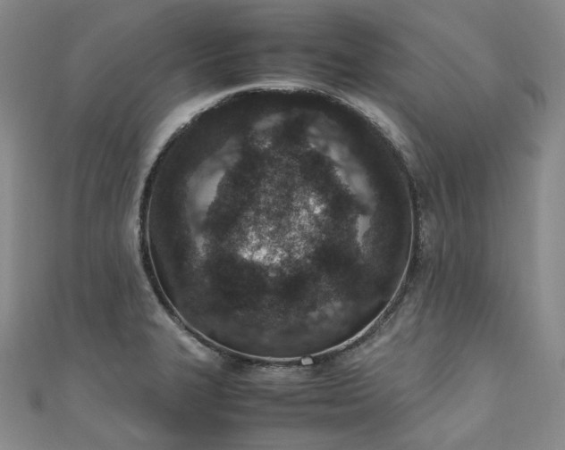 X0000111141327200906301222