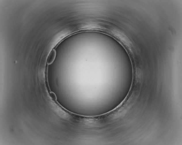 X0000111141330200906301222