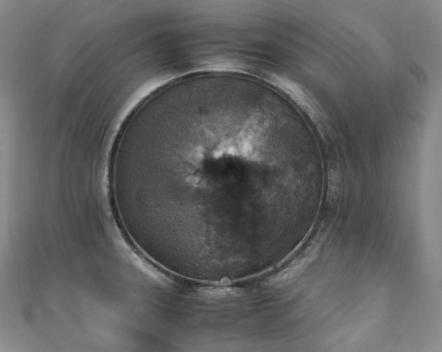 X0000111141331200906301222