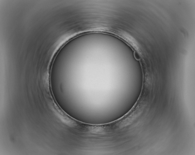 X0000111141332200906301222