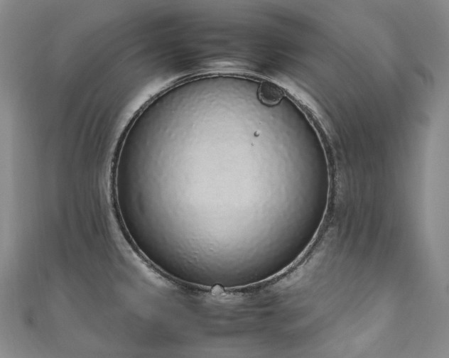 X0000111141333200906301222