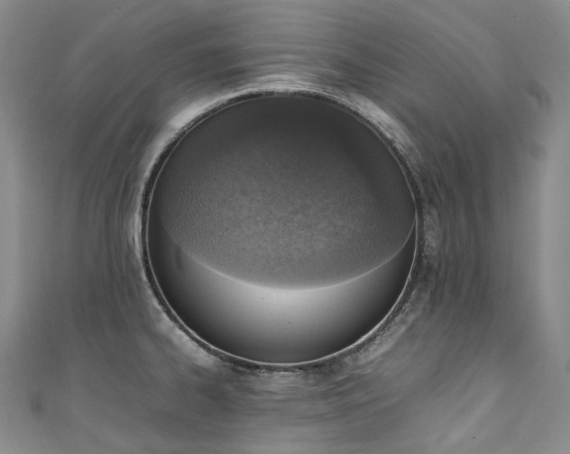 X0000111141334200906301222