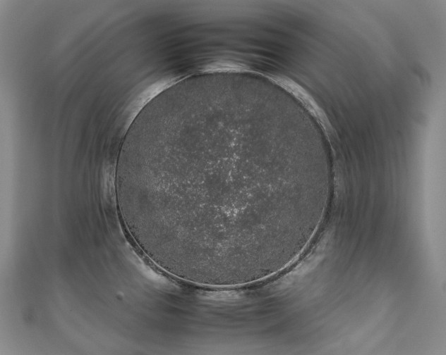 X0000111141337200906301222