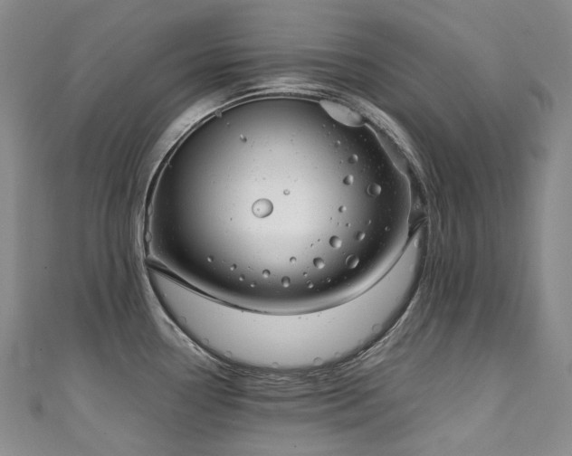 X0000111141338200906301222