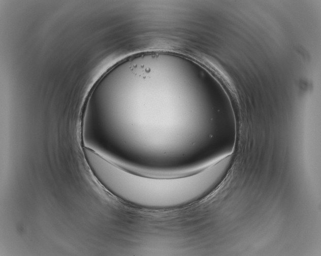 X0000111141340200906301222