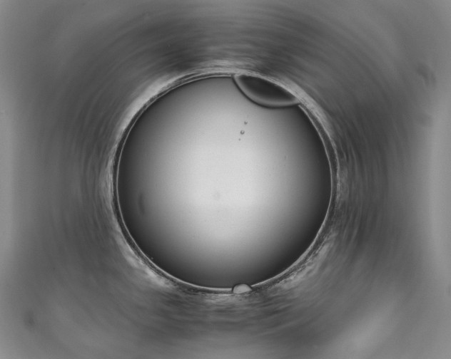 X0000111141341200906301222