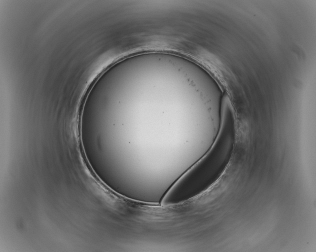 X0000111141342200906301222