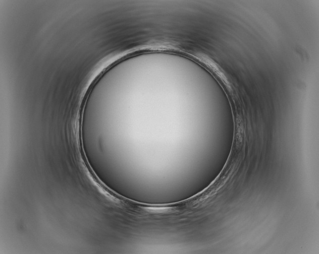 X0000111141343200906301223