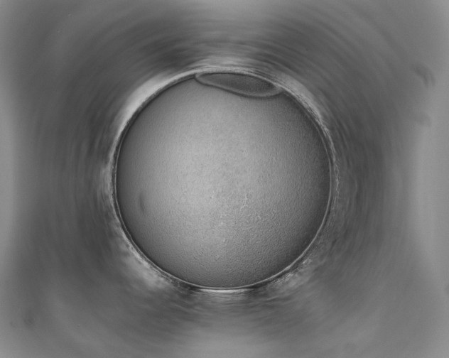 X0000111141344200906301223