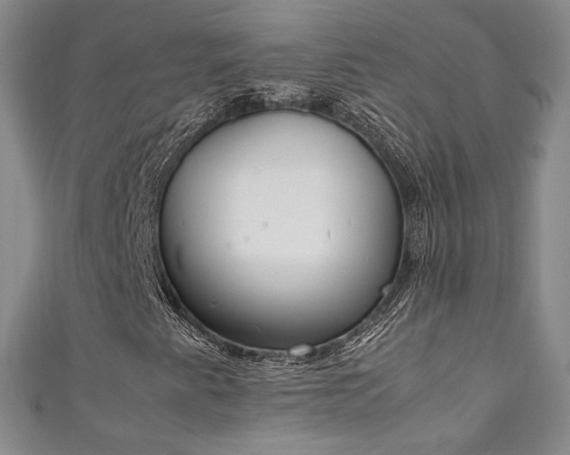 X0000111141345200906301222