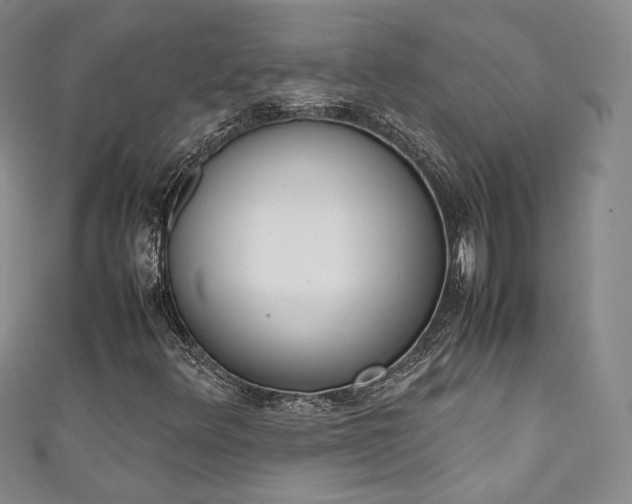 X0000111141348200906301222