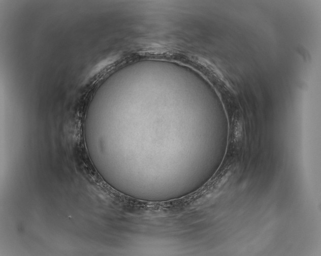 X0000111141350200906301222