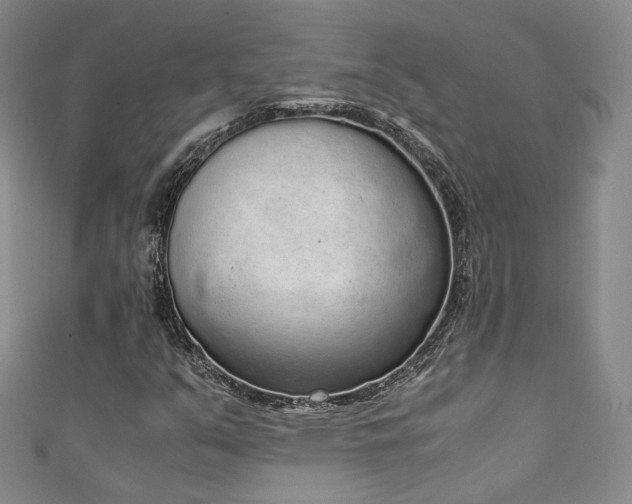 X0000111141351200906301222