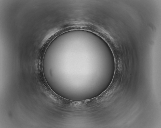 X0000111141352200906301222
