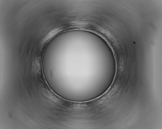 X0000111141354200906301222