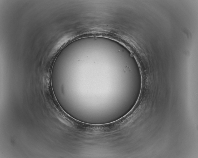X0000111141355200906301222