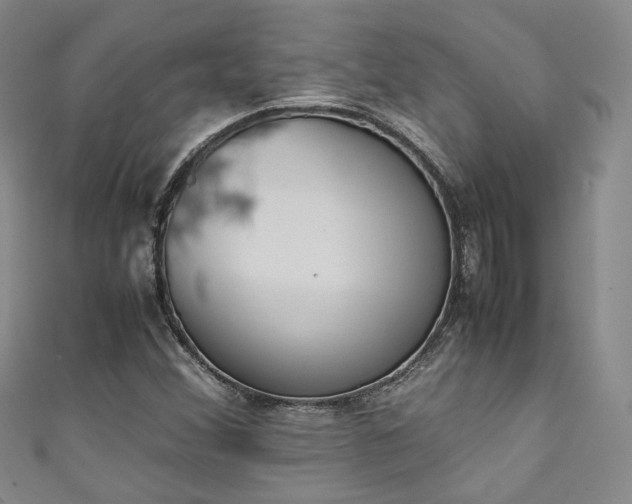 X0000111141356200906301222