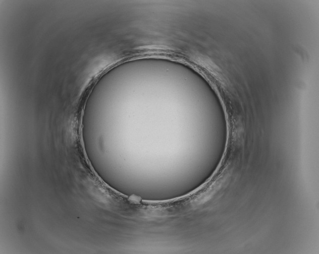X0000111141357200906301222