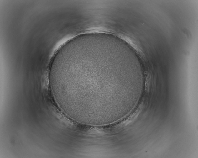 X0000111141358200906301222