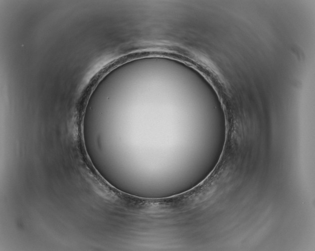 X0000111141360200906301222