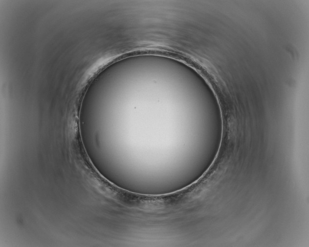 X0000111141363200906301222