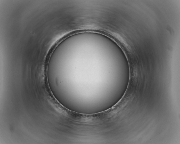 X0000111141364200906301222