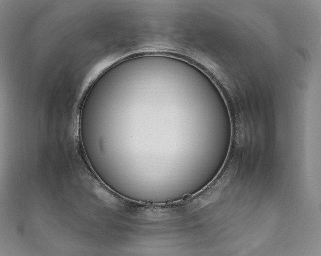 X0000111141366200906301222