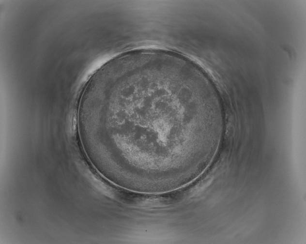 X0000111141367200906301222