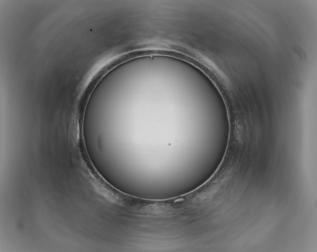 X0000111141368200906301222