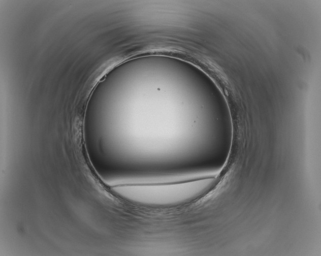 X0000111141369200906301222