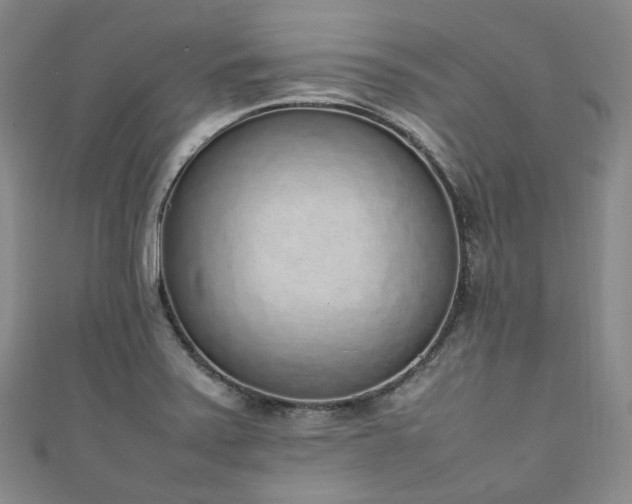 X0000111141371200906301222