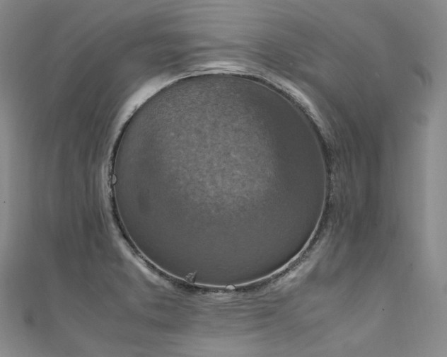 X0000111141373200906301222