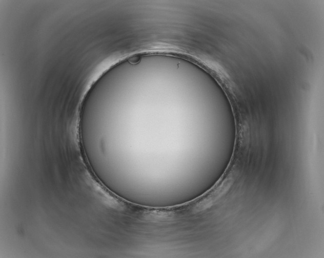 X0000111141374200906301222