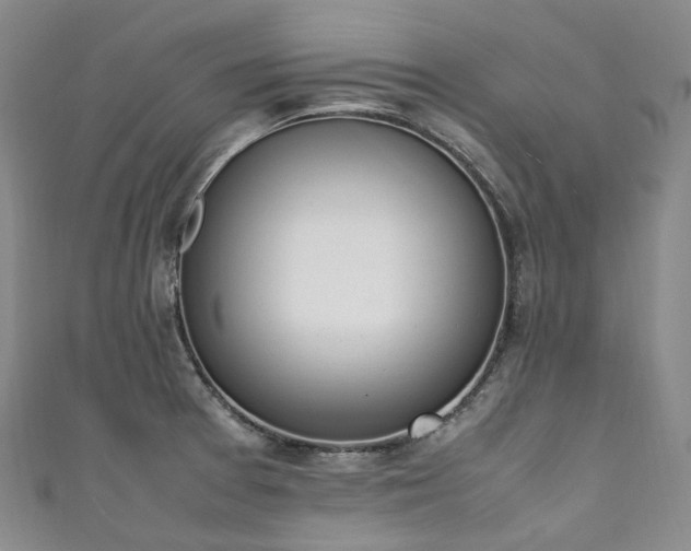 X0000111141377200906301221