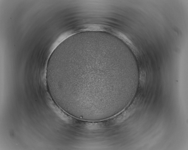 X0000111141378200906301221