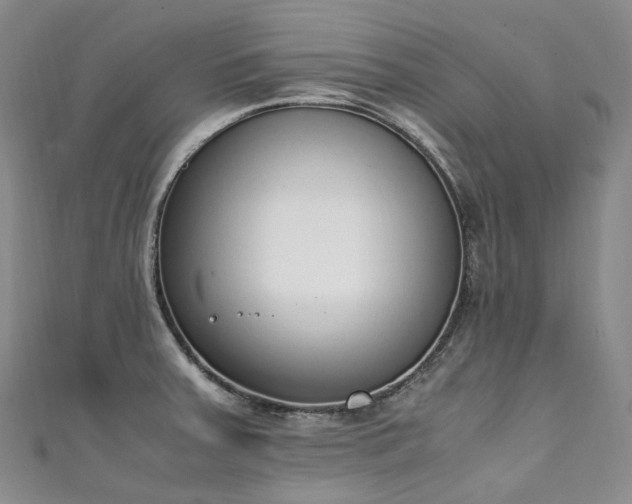 X0000111141379200906301221