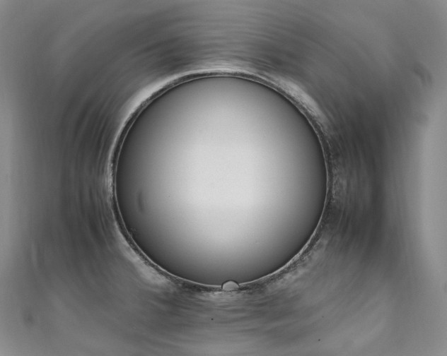 X0000111141380200906301221