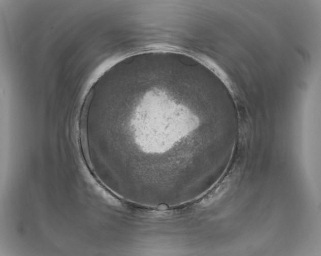 X0000111141381200906301221