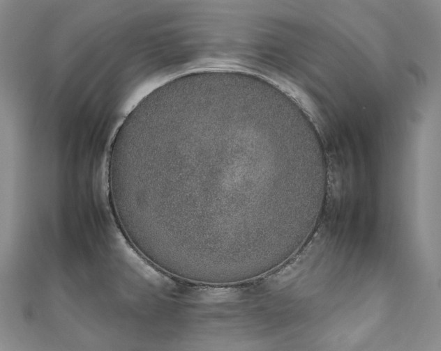 X0000111141382200906301221