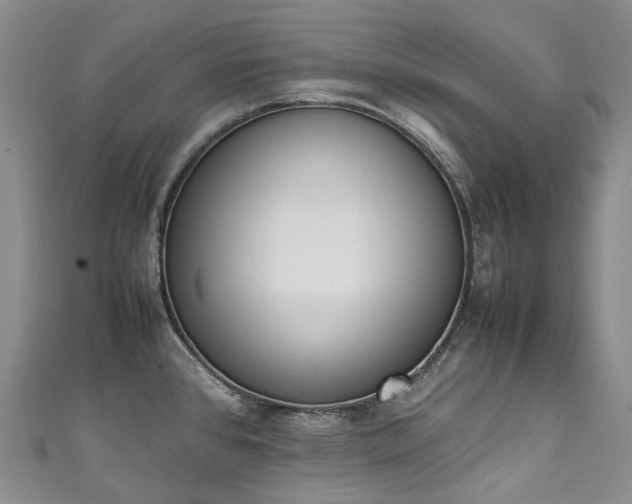 X0000111141384200906301221